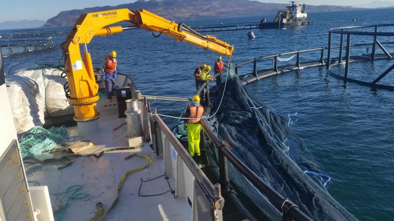 Aqualine lanserer et moderne notlin tilpasset morgendagens oppdrett