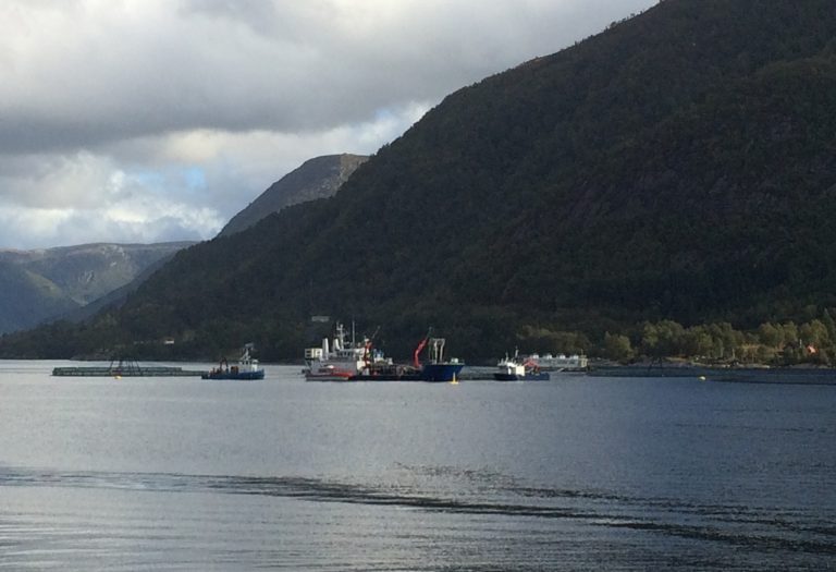 PD-påvisning i Sognefjorden