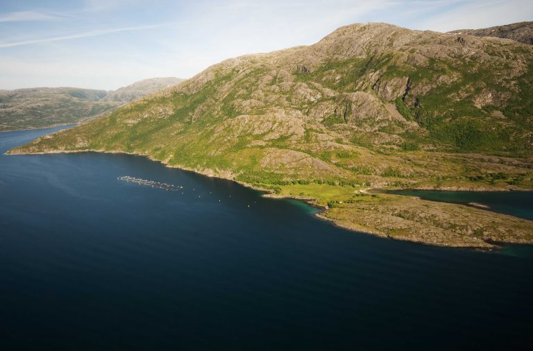 Nova Sea har gjenfanget 526 rømt fisk