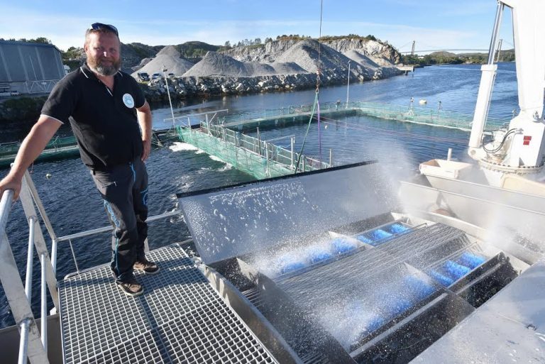 Renser stor laks i en krevende situasjon