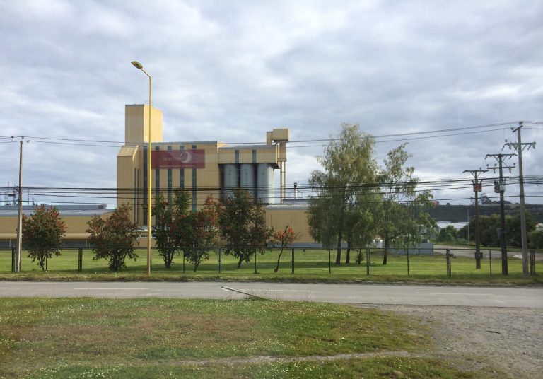 Chilenske myndigheter anklager fire fôrprodusenter for prissamarbeid
