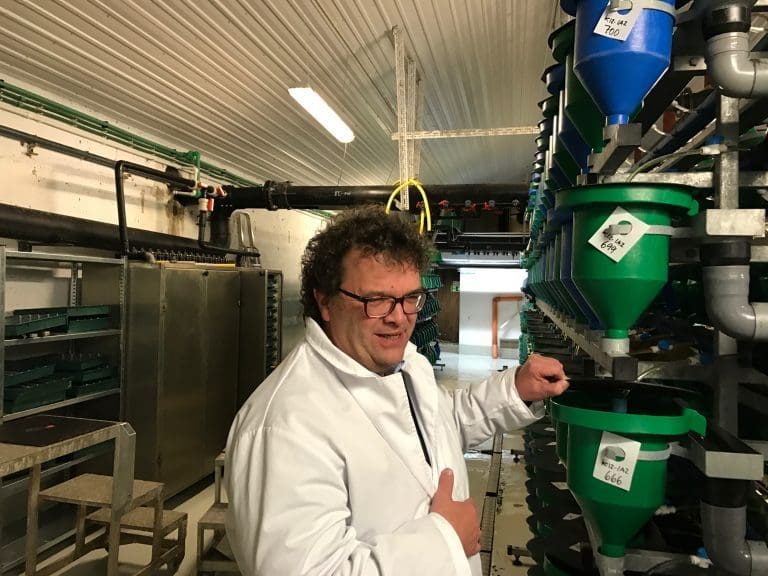 – Nå er det mye etterspørsel fra RAS-anlegg