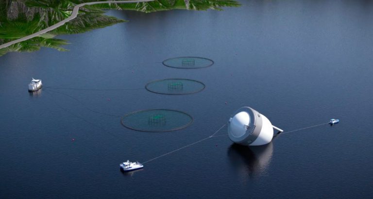Marine Harvest om &laquo;Egget&raquo;: – Det er åpenbart at også økonomien i prosjektet er svært avhengig av antallet konsesjoner som endelig tildeles