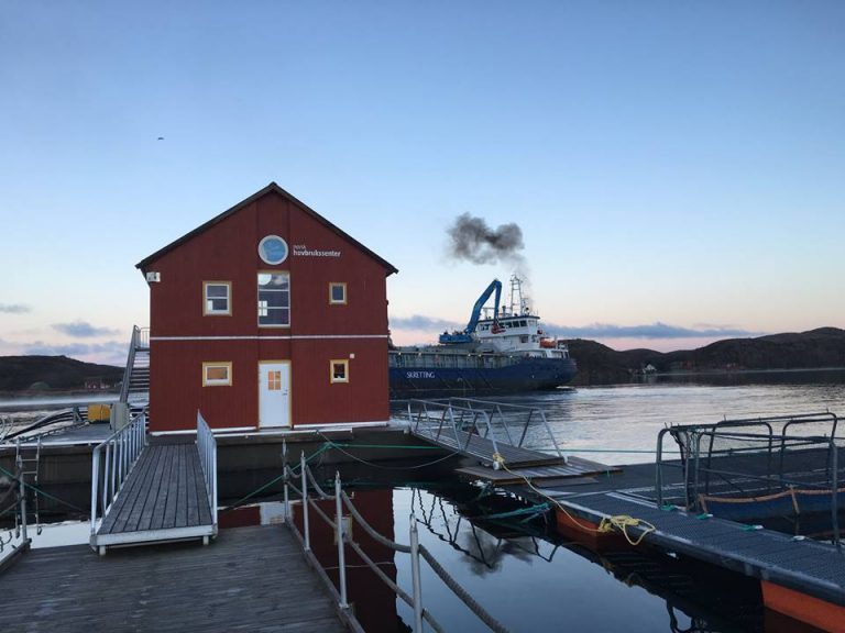 Vil kjøpe to for prisen av en