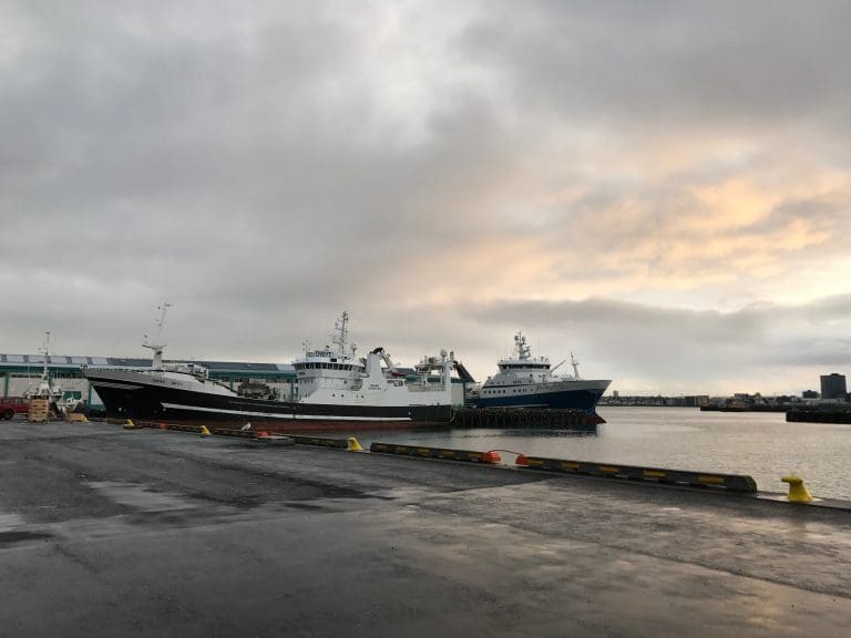 Norske selskaper sentrale i ny internasjonal allianse for miljøvennlig global sjømatproduksjon