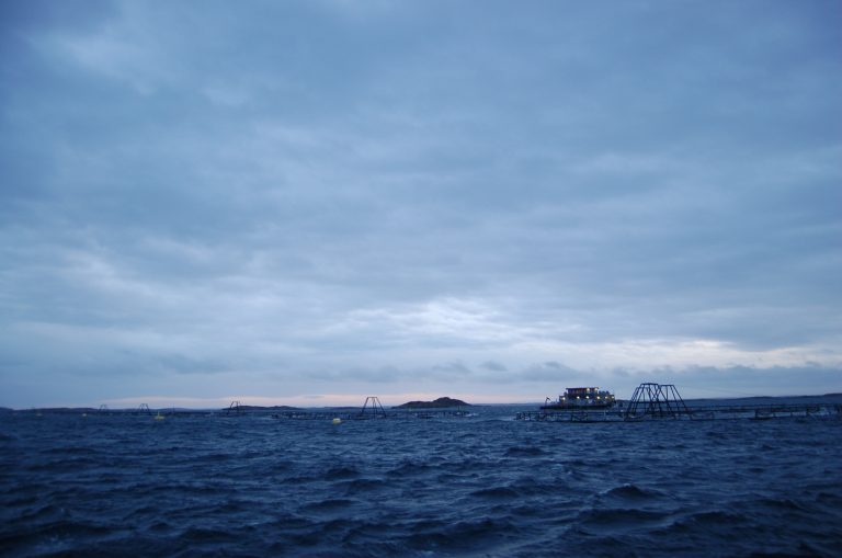 Kostnadene økte med åtte milliarder for fiskeoppdretterne
