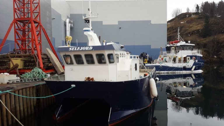 Gror godt i Grovfjord-fjæra