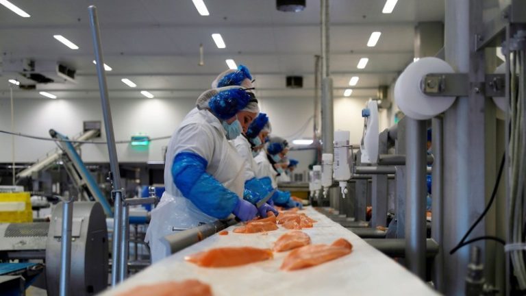 Selger 1.000 tonn laksefileter i Frankrike under egen merkevare