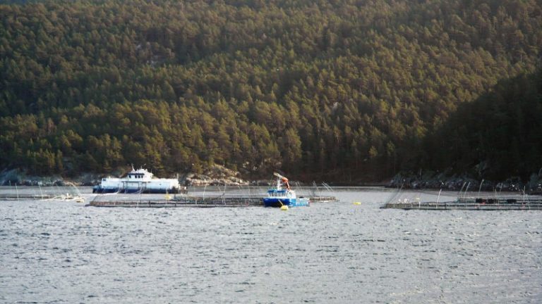 Prisfallet stopper opp