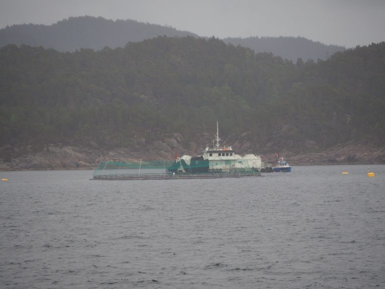 Generasjonsskifte i nord gir store prisavvik i stigende marked