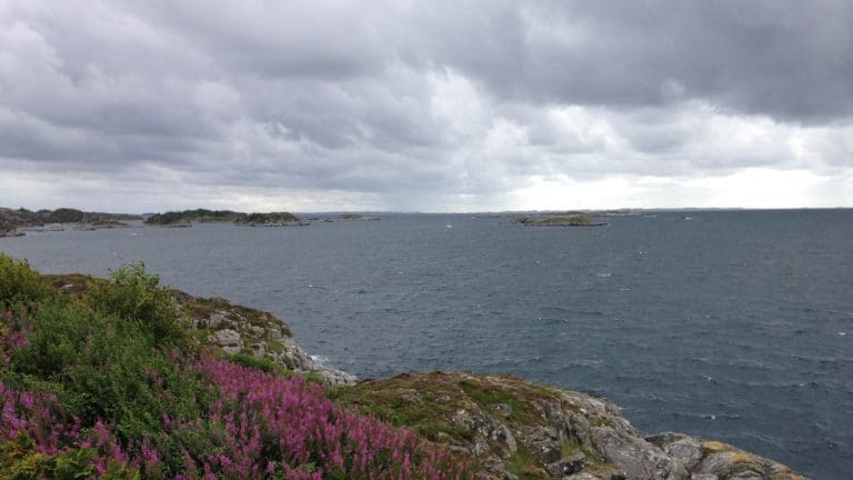 Her kan det bli oppdrett av torsk