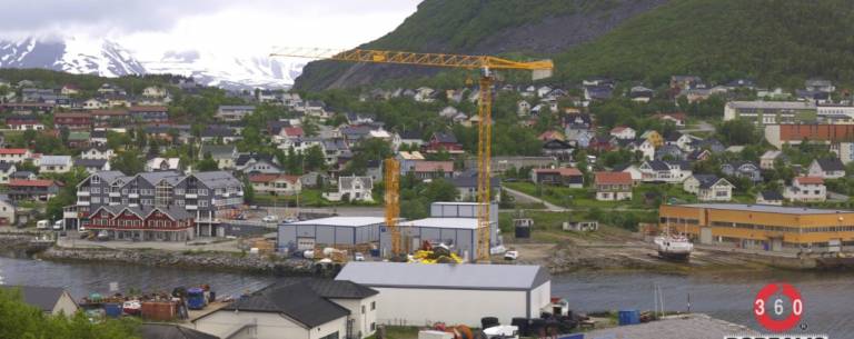 Gult beist på Skjervøy