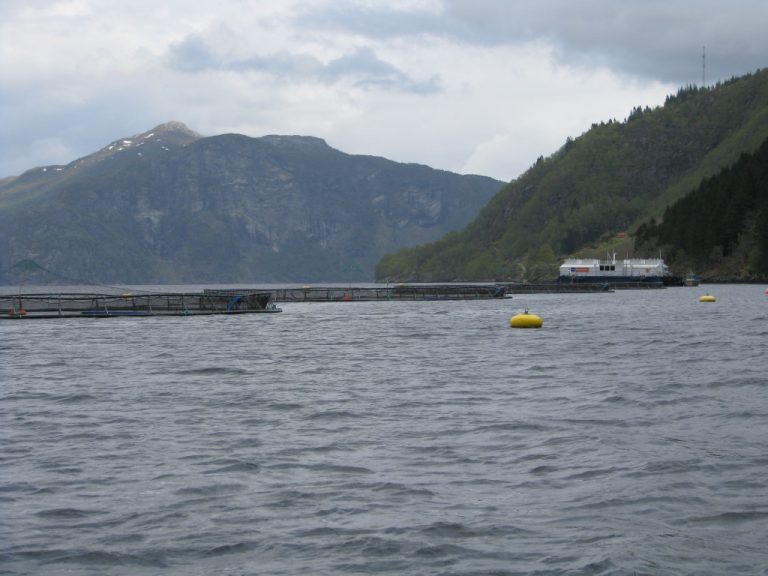 Flokenes Fiskefarm økte resultatet med 302 prosent