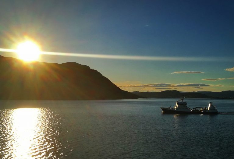 Lakseprisen faller tilbake