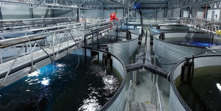 AKVA group lander kontrakter til 78 millioner