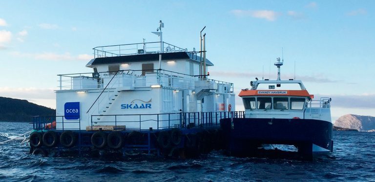 Rekordomsetning for Skaar Norway