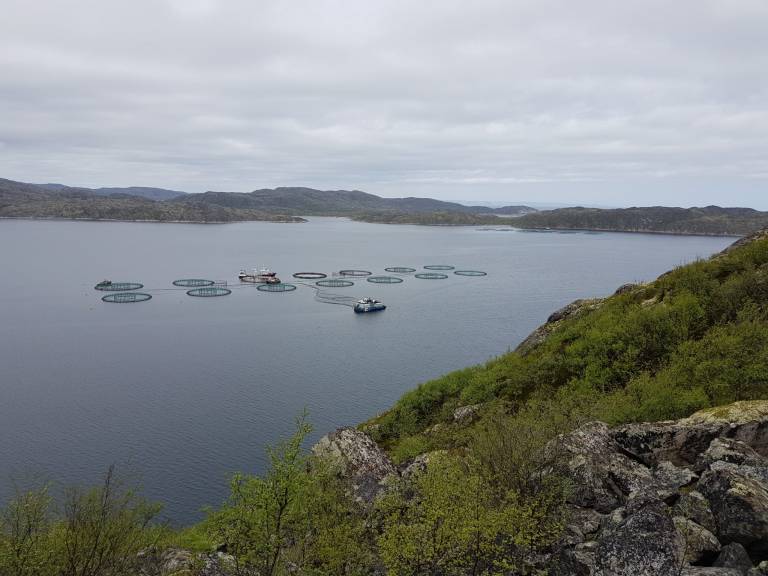 Russian Aquaculture girer opp mot 35.000 tonn innen 2025 – vil produsere større smolt for anlegg i de kaldeste områdene