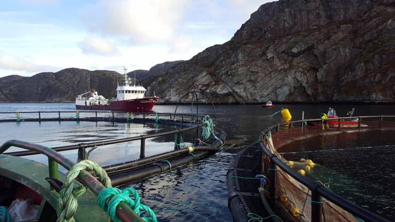 Russian Aquaculture skifter navn til Inarctica