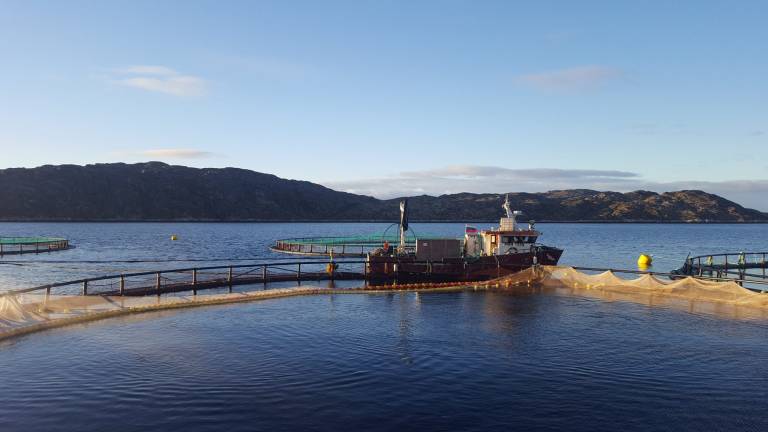 Russian Aquaculture utsteder obligasjonslån
