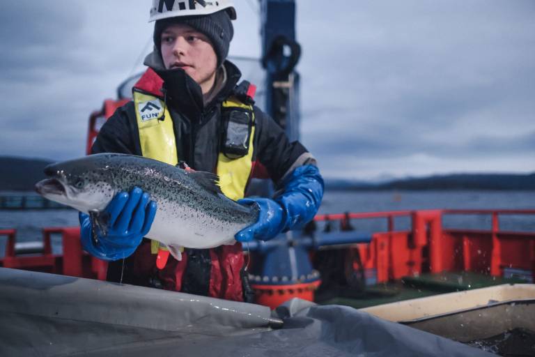 Over 40 ungdommer har fått sommerjobb i Cermaq Norway