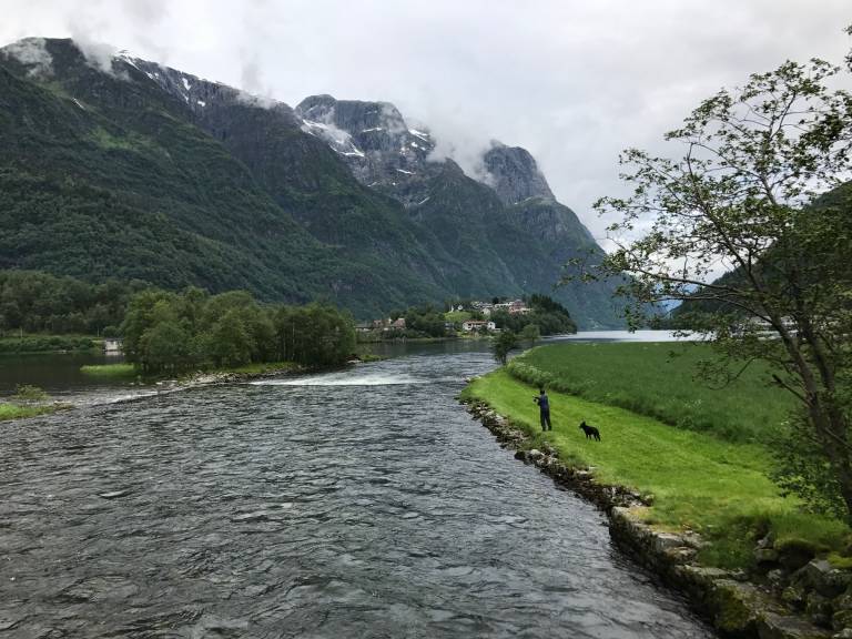 Rike fangster av storfisk tyder på godt villaksår