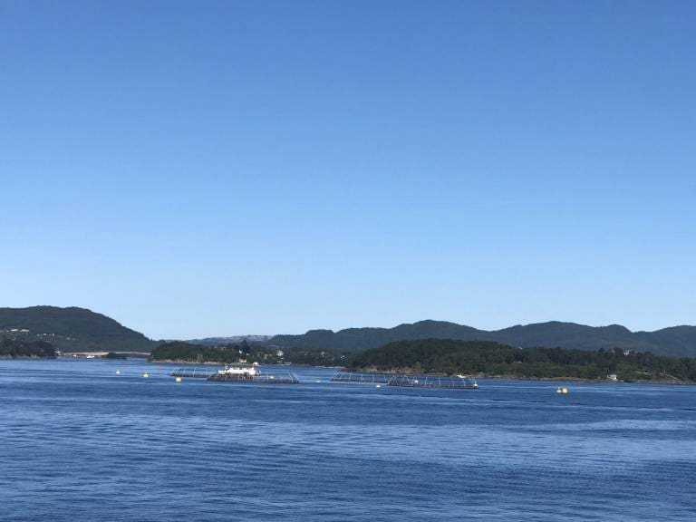 ILA-mistanke i Bjørnafjorden og Gildeskål