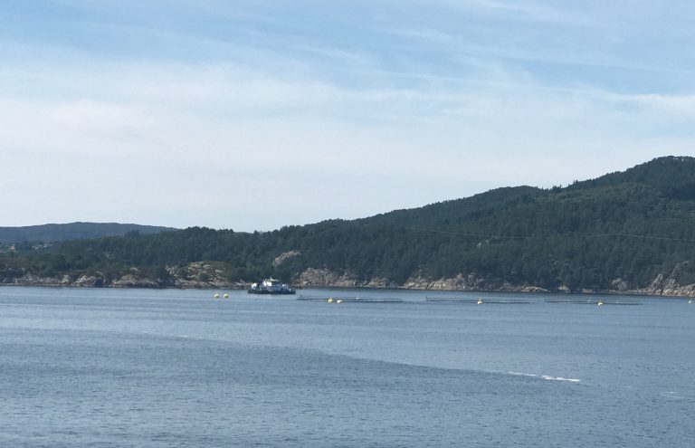 Håper nedsenkbare merder kan styrke fiskevelferden