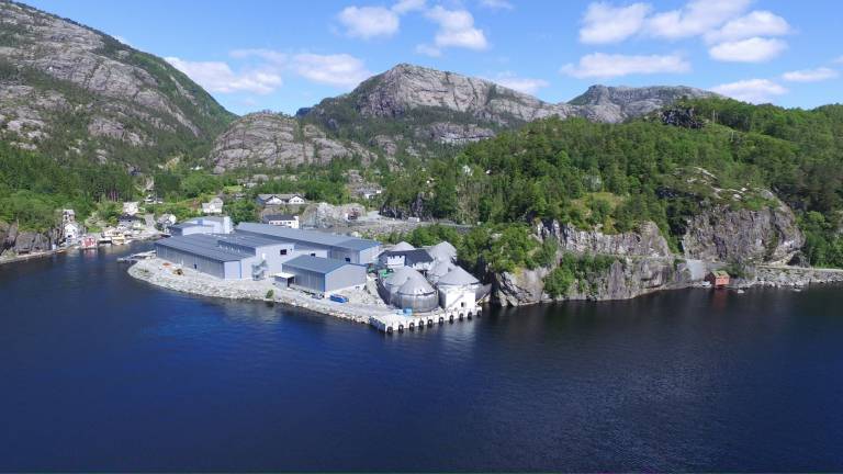 Kostnadsøkning spiste av overskuddet til Sævareid Fiskeanlegg