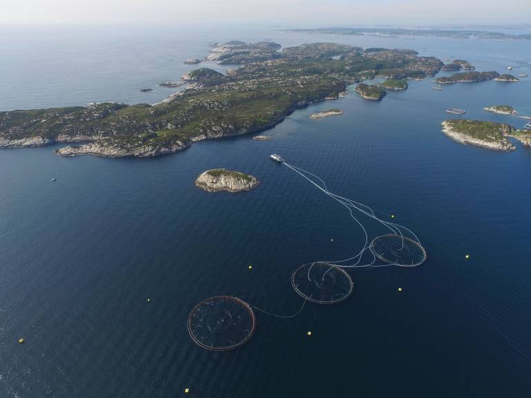 Kommuner og fylkeskommuner får mer fra Havbruksfondet