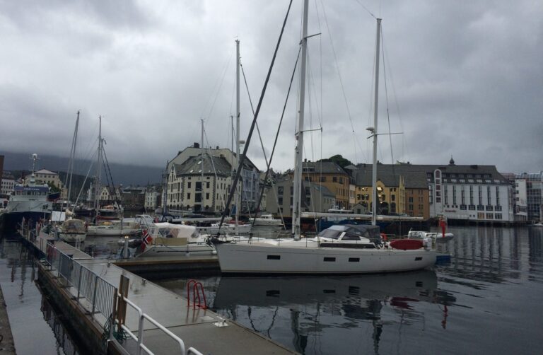 Negativ egenkapital etter tøff ryddejobb i Global Salmon