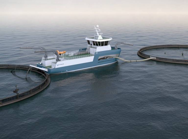 Nytt avlusingskonsept fra Steinsvik har kapasitet på 300 tonn fisk i timen