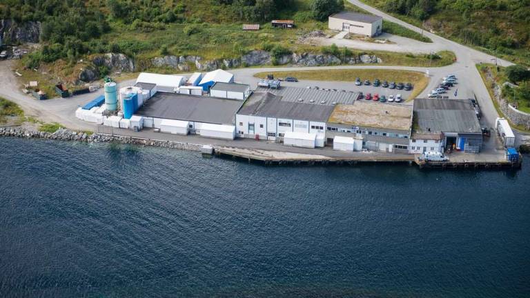 Elulykke hos Lerøy Midt på Hitra: &laquo;Fikk akutte smerter samt ubehag i kroppen&raquo;