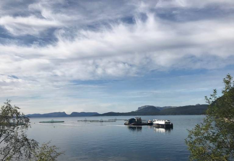 Over ti kroner i forskjell på prisforventninger til førjulshandelen