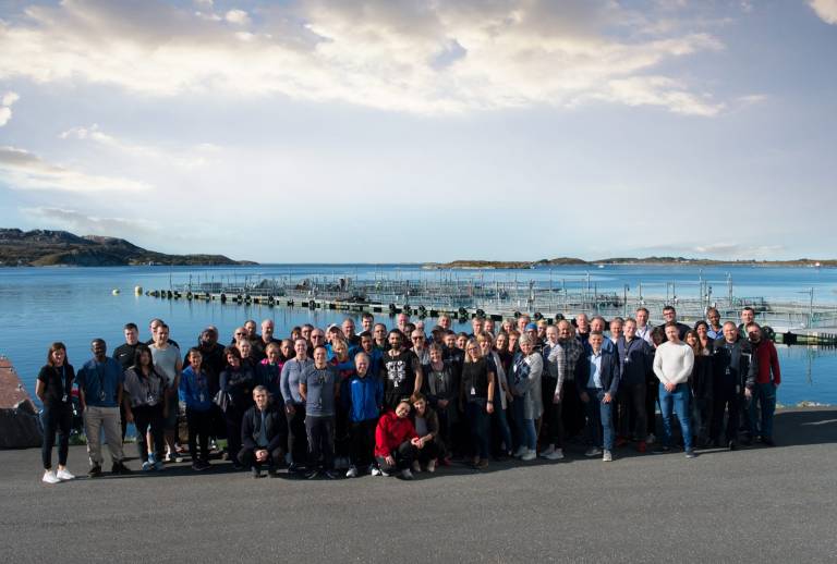 Åtte år uten fraværskade ved Marine Harvest på Herøy
