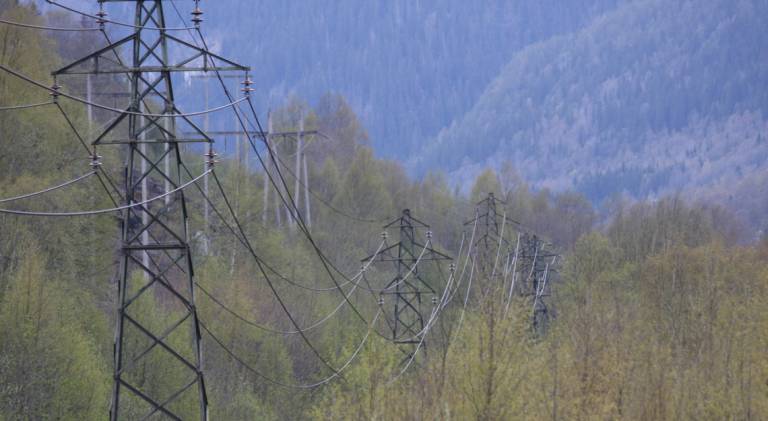 Havbruksnæringen sørger for lavere strømpriser i Salten