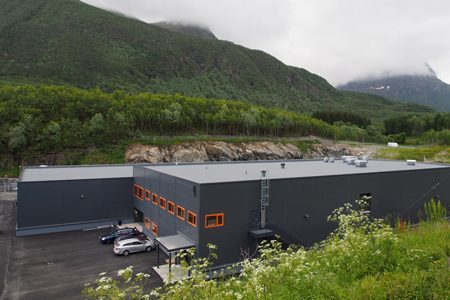 Driftsresultatet ble halvert for Nordnorsk Stamfisk