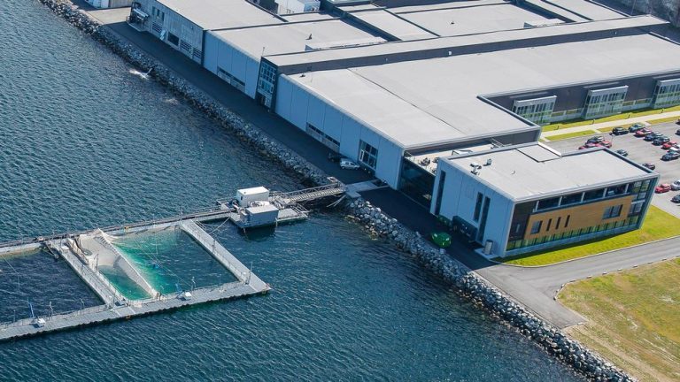 – InnovaMar er hjertet i SalMar og må vernes med nebb og klør