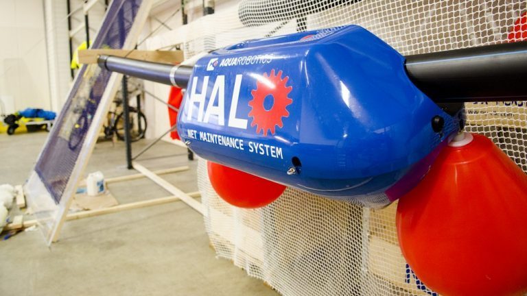 Tapene tårner seg opp for Aqua Robotics