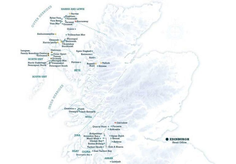 Scottish Salmon Company økte omsetningen med 43 prosent