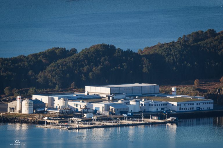 Håp om 1,3 milliarder kroner i kvartalsutbytte sender Marine Harvest til ny toppnotering