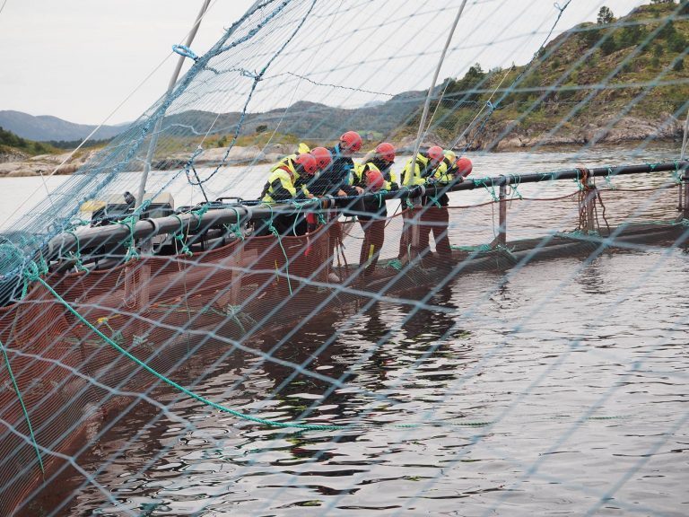 Får 11,3 millioner til havbruksforskning: – Det er helt fantastisk