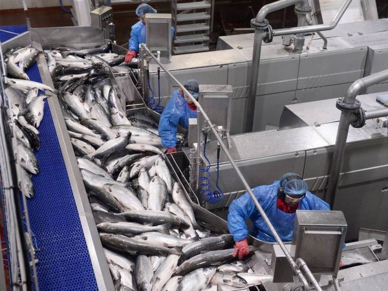 Aarskog hintet om ytterligere utbygginger under den offisielle åpningen av &laquo;nye&raquo; Marine Harvest Ryfisk