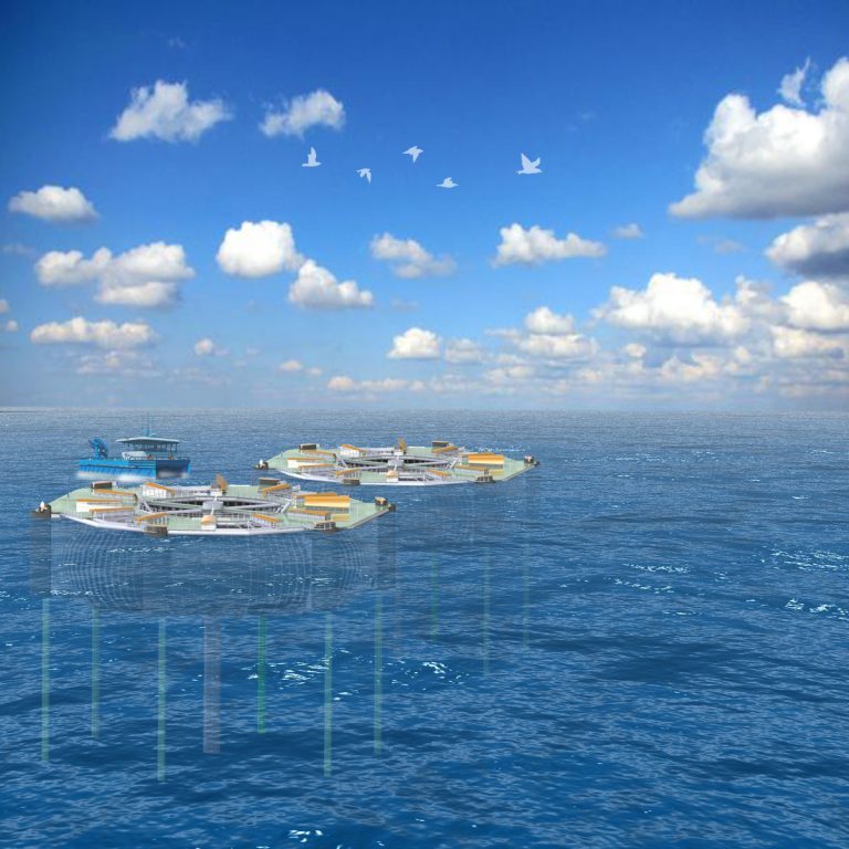 Departementet avviser klage, og opprettholder vedtak for Marine Harvests &laquo;Donut&raquo;