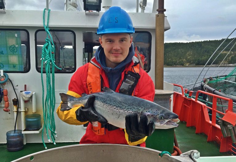 Berglund Andreassen går til Fishguard