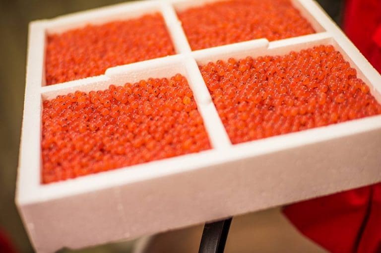 Salmobreed: – Vi kjenner oss ikke igjen i kritikken
