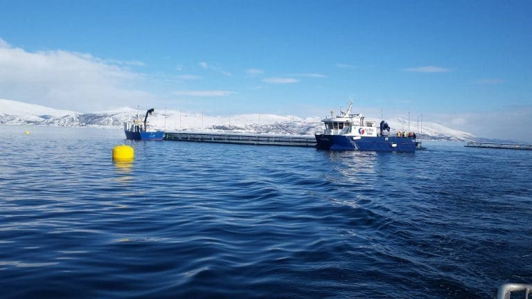 Oppretter fagråd for havbruk i Namsos