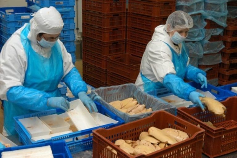 Fransk gourmetprodusent med strategiendring: – Vi prøver å gjøre mindre, men på en bedre måte