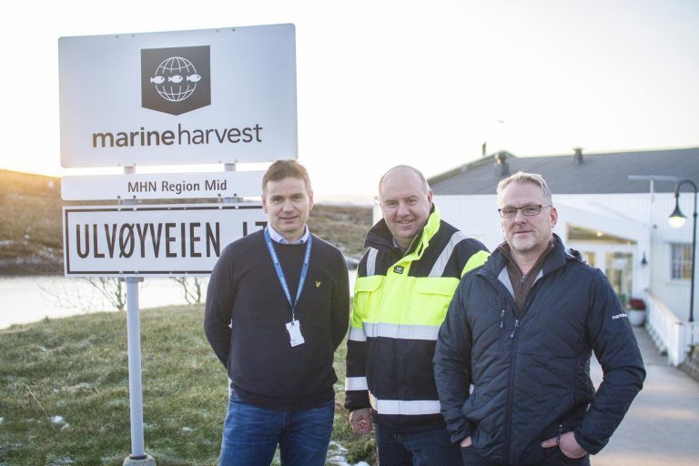 Uviss fremtid for Marine Harvest-ansatte på Ulvan og Sistranda