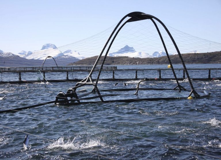 Marine Harvest i &laquo;forsoningsmøte&raquo; med lokale fiskere på Helgeland
