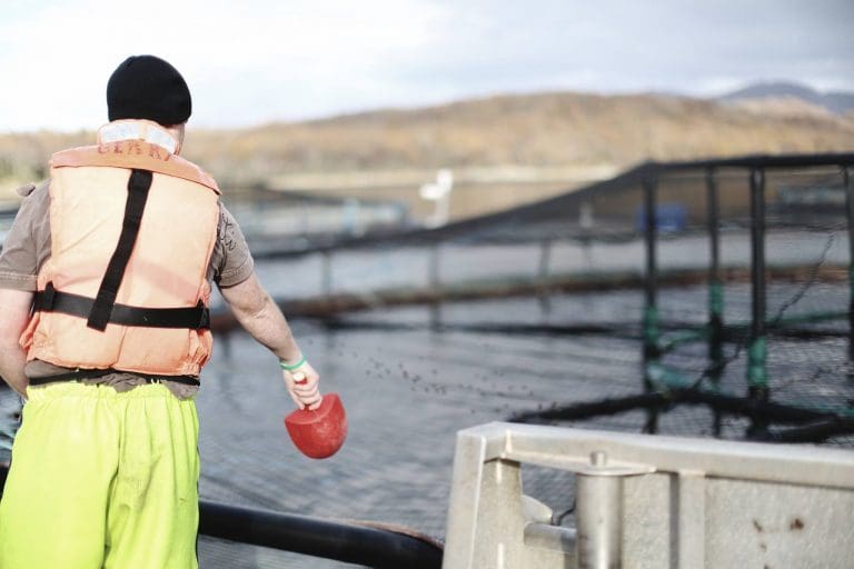 Scottish Sea Farms brukte over en milliard kroner på lokale leverandører